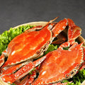 Frozen Raw Whole Swimming Crab