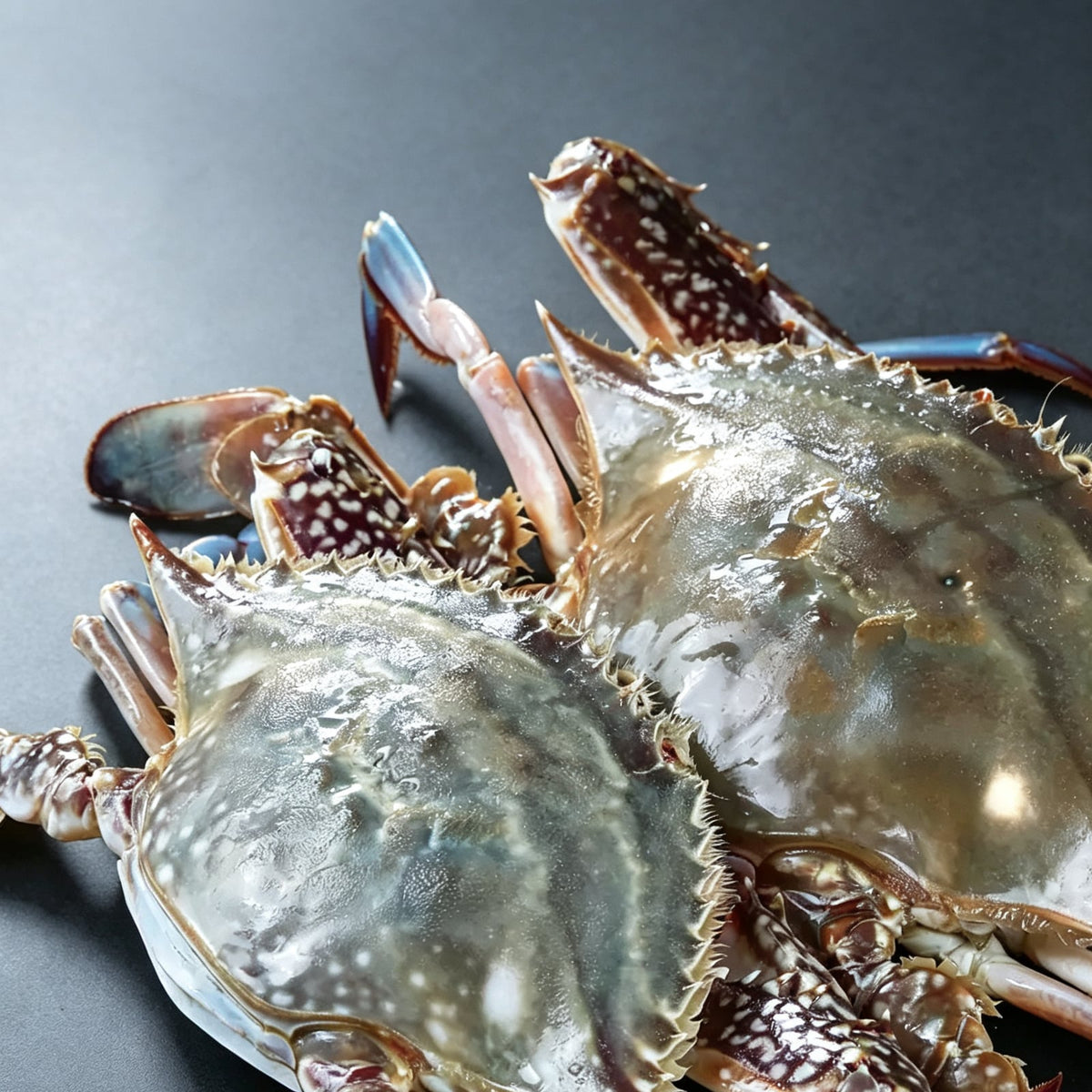 Frozen Raw Whole Swimming Crab